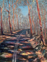 /album/eve-jorgensen-art/forest-road-01-10605-auts-journeys-no-2-jpg1/